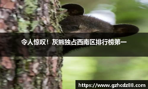 优游国际ub8登录
