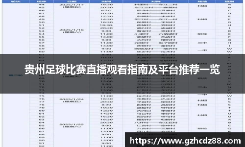 贵州足球比赛直播观看指南及平台推荐一览
